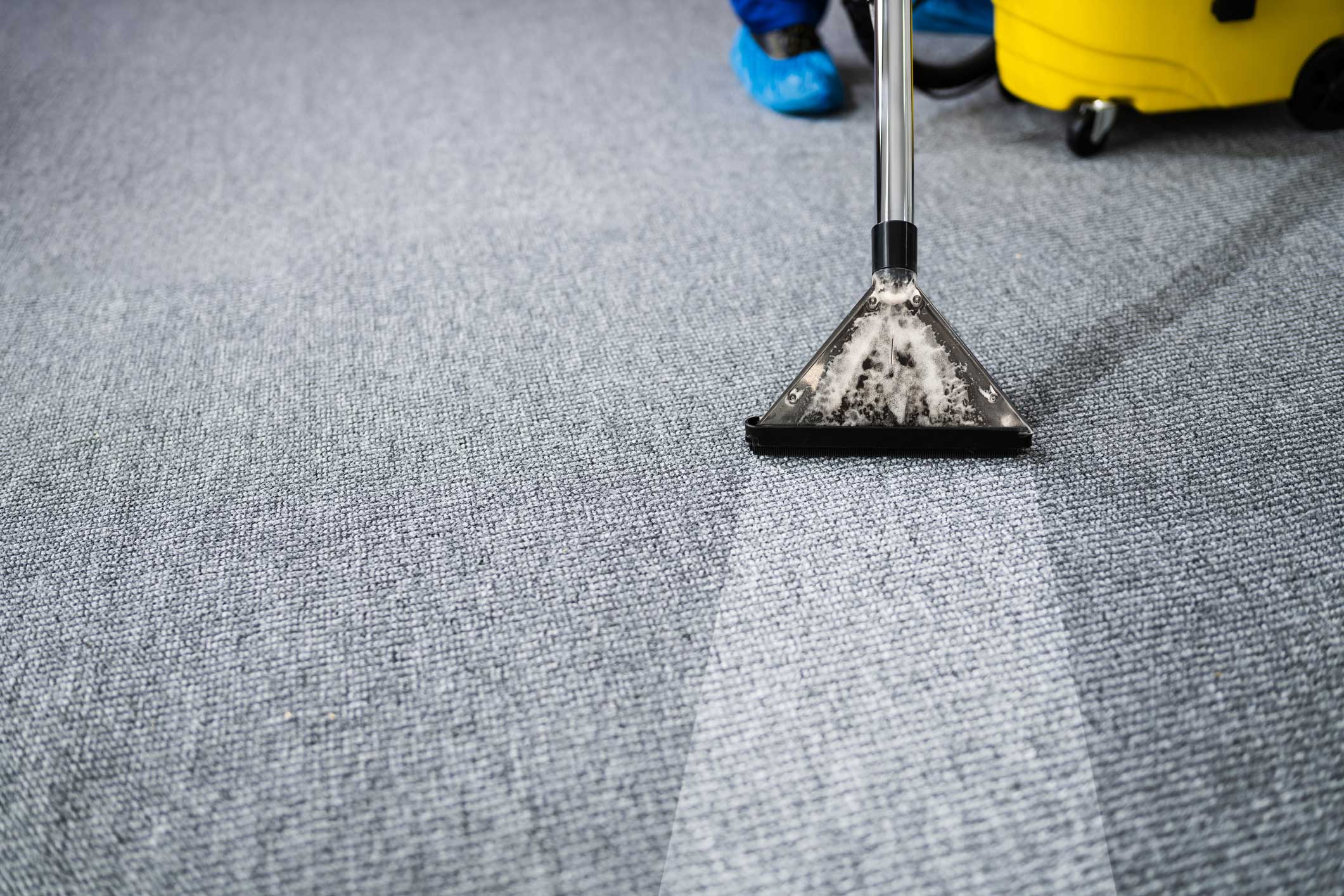 Carpet Cleaning in Newry